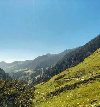The green Dhauladhar hillside and valley